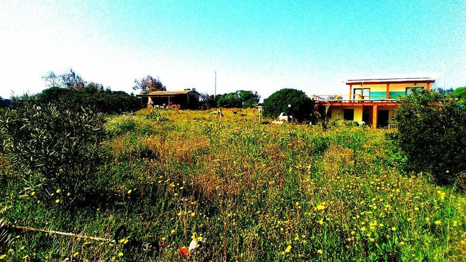 Eco Affittacamere Casa Maica Eco Guesthouse Stintino Eksteriør bilde